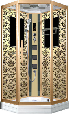 Душевая кабина Niagara Lux 7717G 100х100
