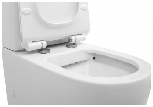 Чаша унитаза Aquanet Rimless Cetus-C1 BL-102N-TPT