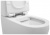 Чаша унитаза Aquanet Rimless Cetus-C1 BL-102N-TPT