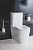 Унитаз-компакт безободковый BELBAGNO ALBANO