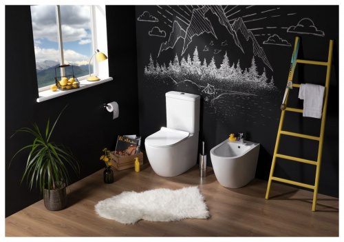 Бачок для унитаза Aquanet Cetus-C2 BL-102N-TPT
