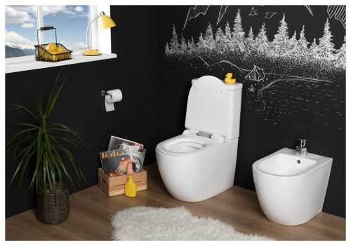 Бачок для унитаза Aquanet Cetus-C2 BL-102N-TPT