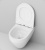 C701700WH Spirit V2.0 подвесной унитаз FlashClean C701700WH Spirit V2.0 подвесной унитаз FlashClean