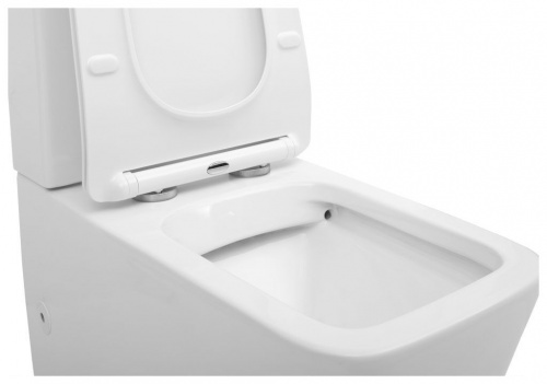 Чаша унитаза Aquanet Rimless Tavr-C1 BL-103N-TPT