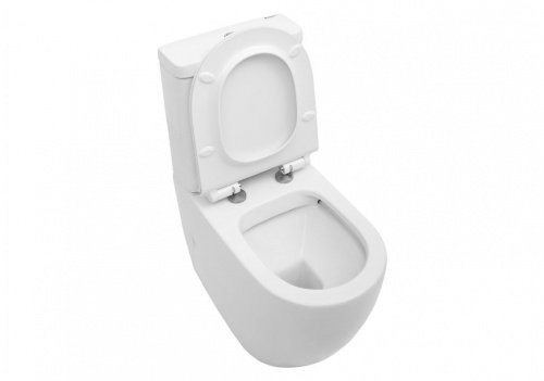 Чаша унитаза Aquanet Rimless Cetus-C1 BL-102N-TPT