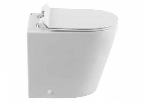 Приставной унитаз Aquanet Rimless Atago-F BL-104N-FST