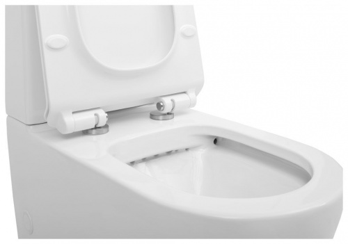 Чаша унитаза Aquanet Rimless Atago-C1 BL-104N-TPT