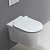 Унитаз подвесной безободковый BELBAGNO ANCONA