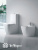 Унитаз-компакт BELBAGNO ALPINA Унитаз-компакт BELBAGNO ALPINA