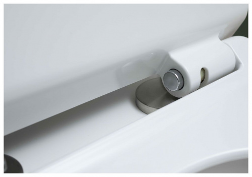 Чаша унитаза Aquanet Rimless Roll-C CL-12249B