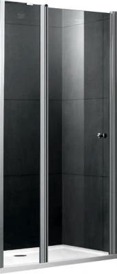 Душевая дверь Gemy New Rockcoco S03191A 100х190