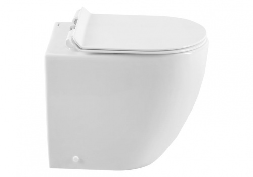 Приставной унитаз Aquanet Rimless Cetus-F BL-102N-FST